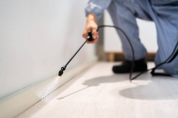 Licensed Pest Control service in Warrensburg, MO - Show Me Pest Control