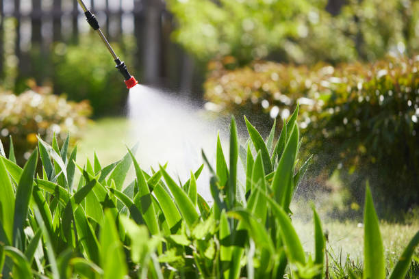 24/7 Emergency Wasp Removal experts in Warrensburg, MO
