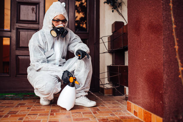 Reliable Wasp Removal contractor in Warrensburg, MO by Show Me Pest Control